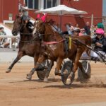 FB_IMG_1728487911453