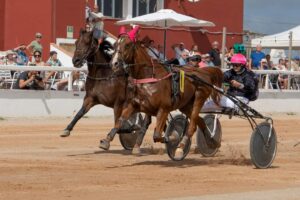 FB_IMG_1728487911453