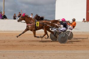 FB_IMG_1728487916003