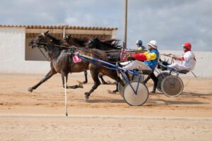 FB_IMG_1728487920933