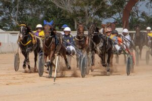 FB_IMG_1728487924013