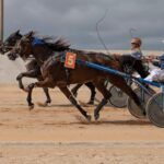 FB_IMG_1728487927925