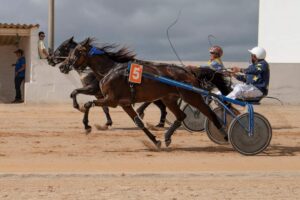 FB_IMG_1728487927925