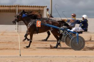 FB_IMG_1728487934644