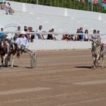 FB_IMG_1729620525940