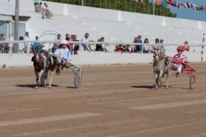 FB_IMG_1729620525940