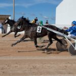 FB_IMG_1729620542021