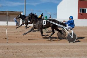 FB_IMG_1729620542021