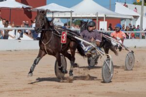 FB_IMG_1729620546545