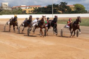 FB_IMG_1729620551495