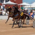 FB_IMG_1729620555440