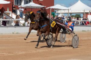 FB_IMG_1729620555440