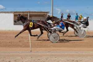 FB_IMG_1729620559655