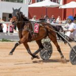 FB_IMG_1729620565089