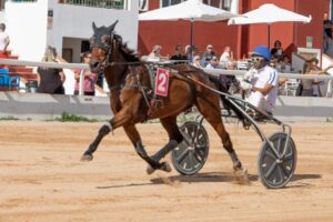 FB_IMG_1729620565089