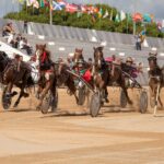 FB_IMG_1729620569219