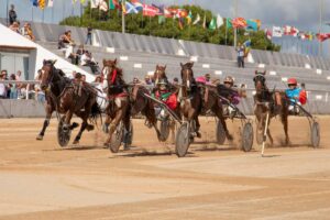 FB_IMG_1729620569219