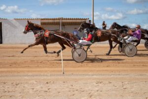 FB_IMG_1729620580037