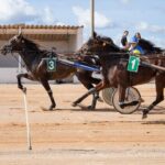 FB_IMG_1729620584787