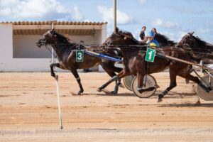 FB_IMG_1729620584787