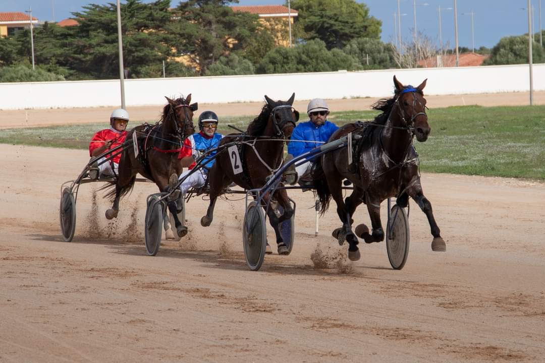 FB_IMG_1730395636722