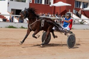 FB_IMG_1730395640418