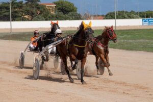 FB_IMG_1730395649112