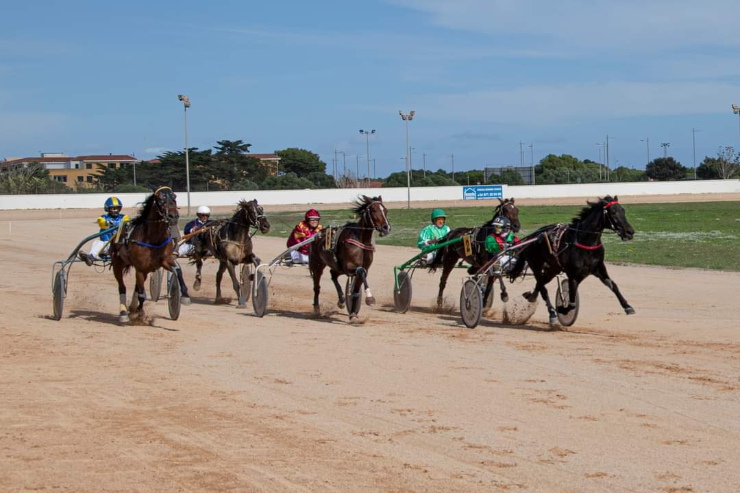 FB_IMG_1730395653728