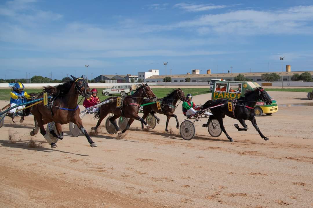 FB_IMG_1730395657842