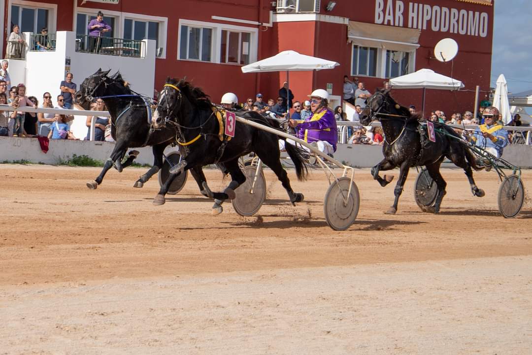 FB_IMG_1730395660817