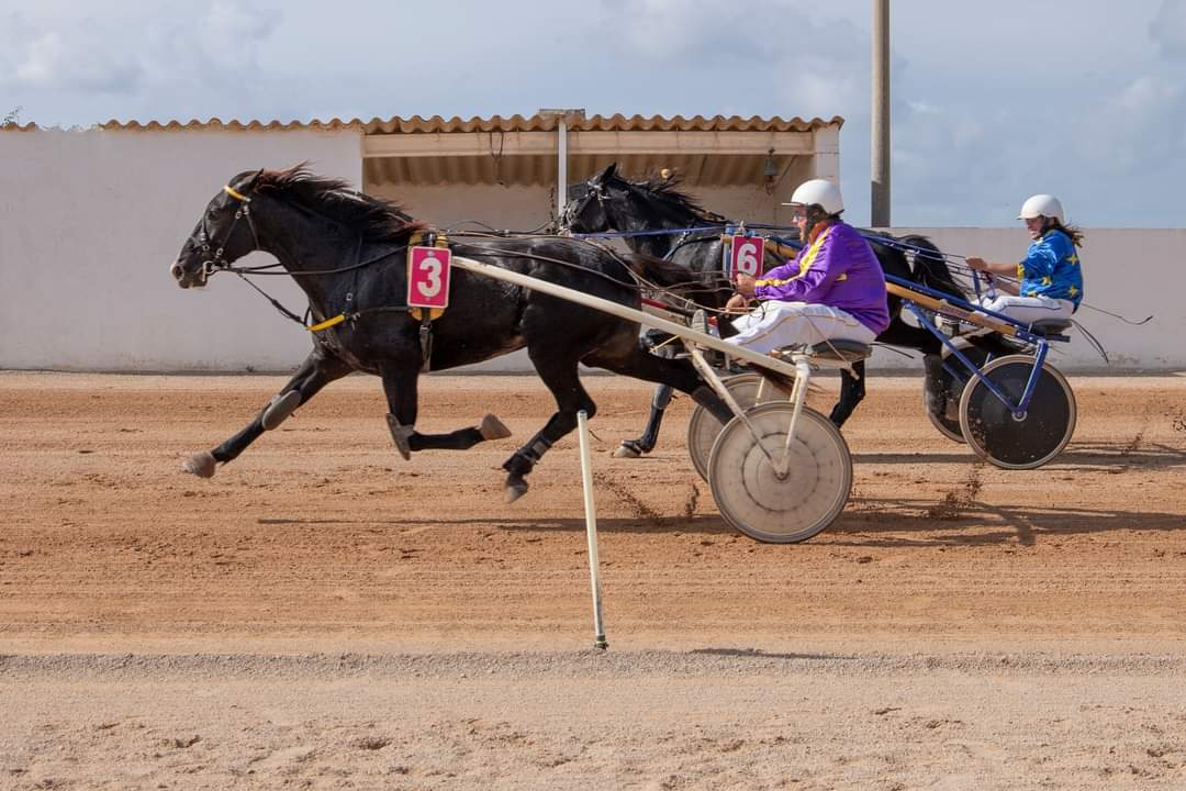 FB_IMG_1730395664012