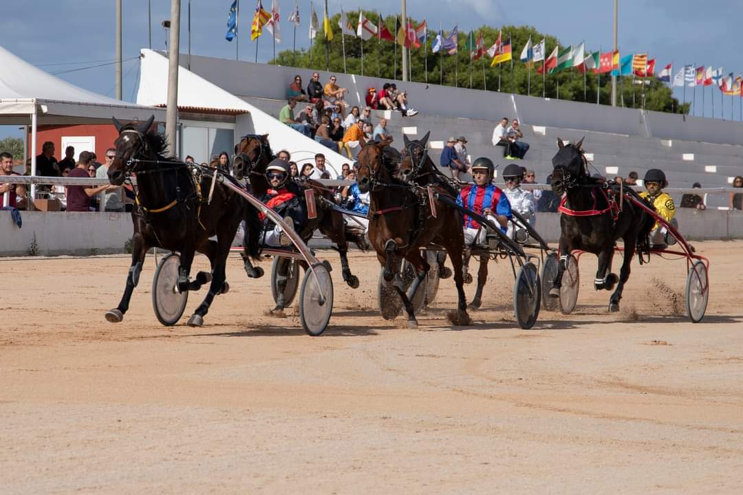 FB_IMG_1730395666837