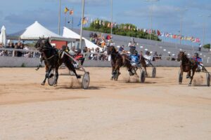 FB_IMG_1730395669645