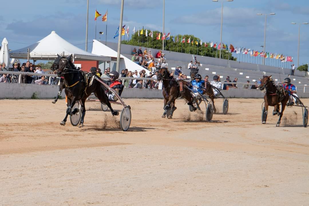 FB_IMG_1730395669645