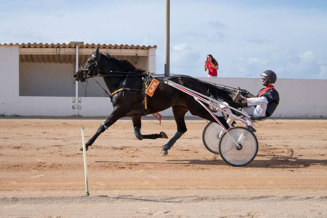 FB_IMG_1730395672907