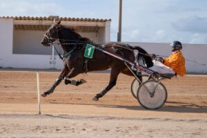 FB_IMG_1730395679513