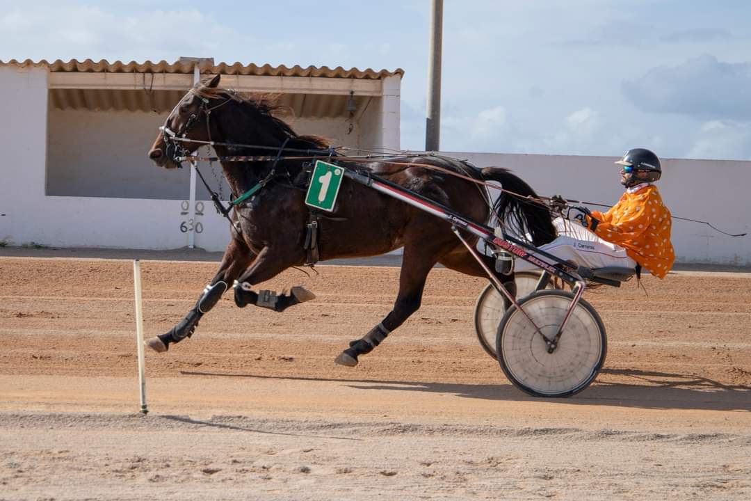 FB_IMG_1730395679513