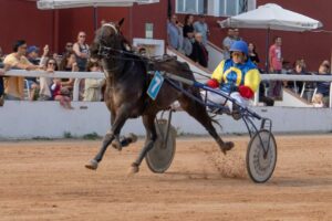 FB_IMG_1730395684360