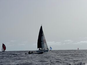 cruceros