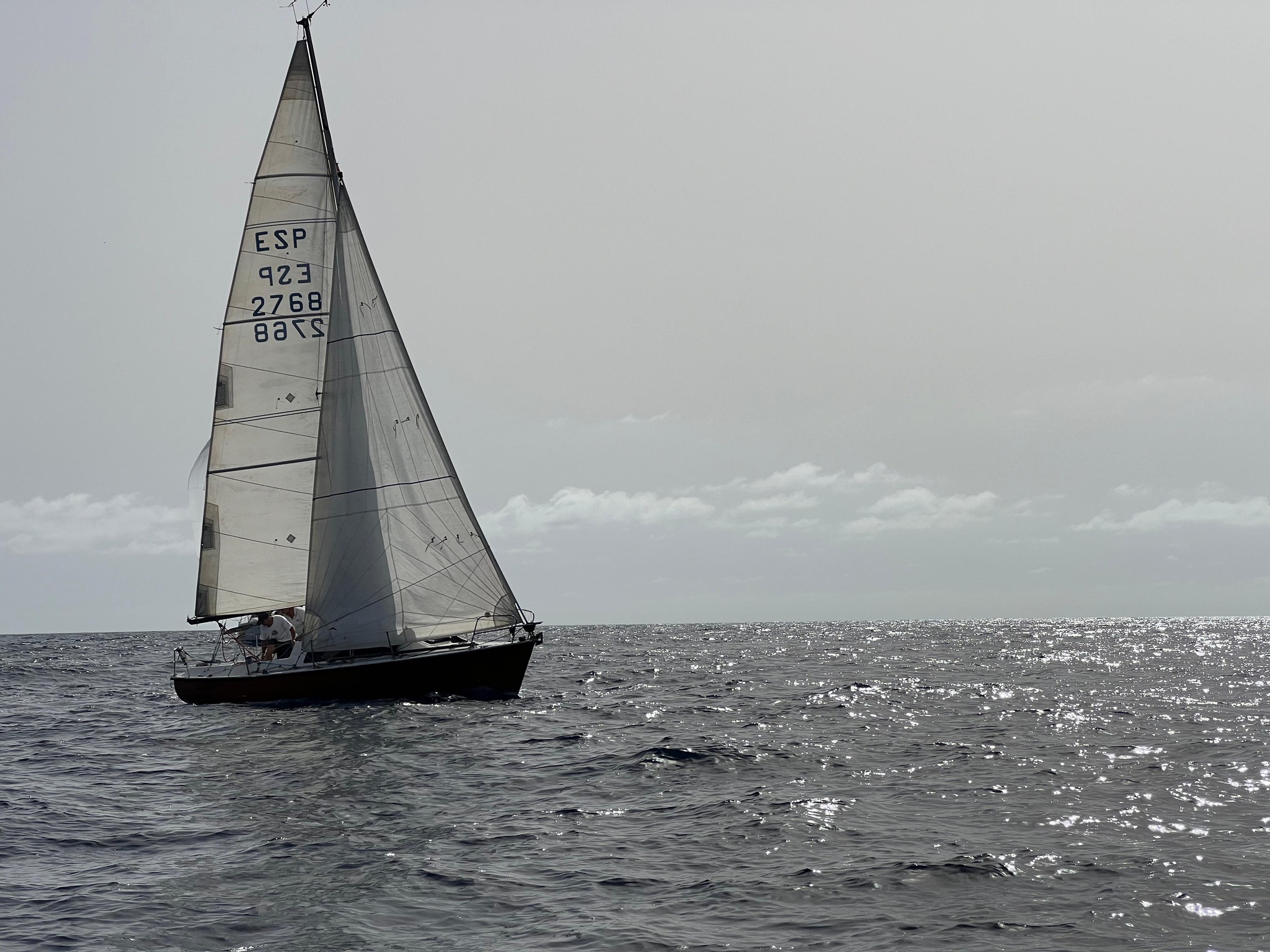 cruceros4
