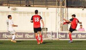 felanitx migjorn 290