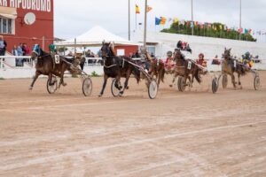Carreres Trot-hipódromo municipal de Maó