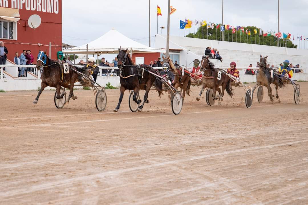 Carreres Trot-hipódromo municipal de Maó