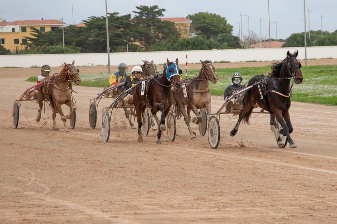 Carreres Trot-hipódromo municipal de Maó