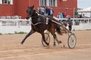 Carreres Trot-hipódromo municipal de Maó