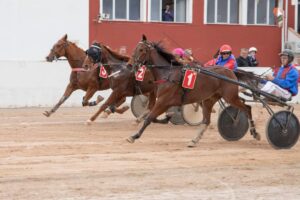 Carreres Trot-hipódromo municipal de Maó