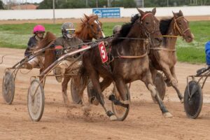 Carreres Trot-hipódromo municipal de Maó