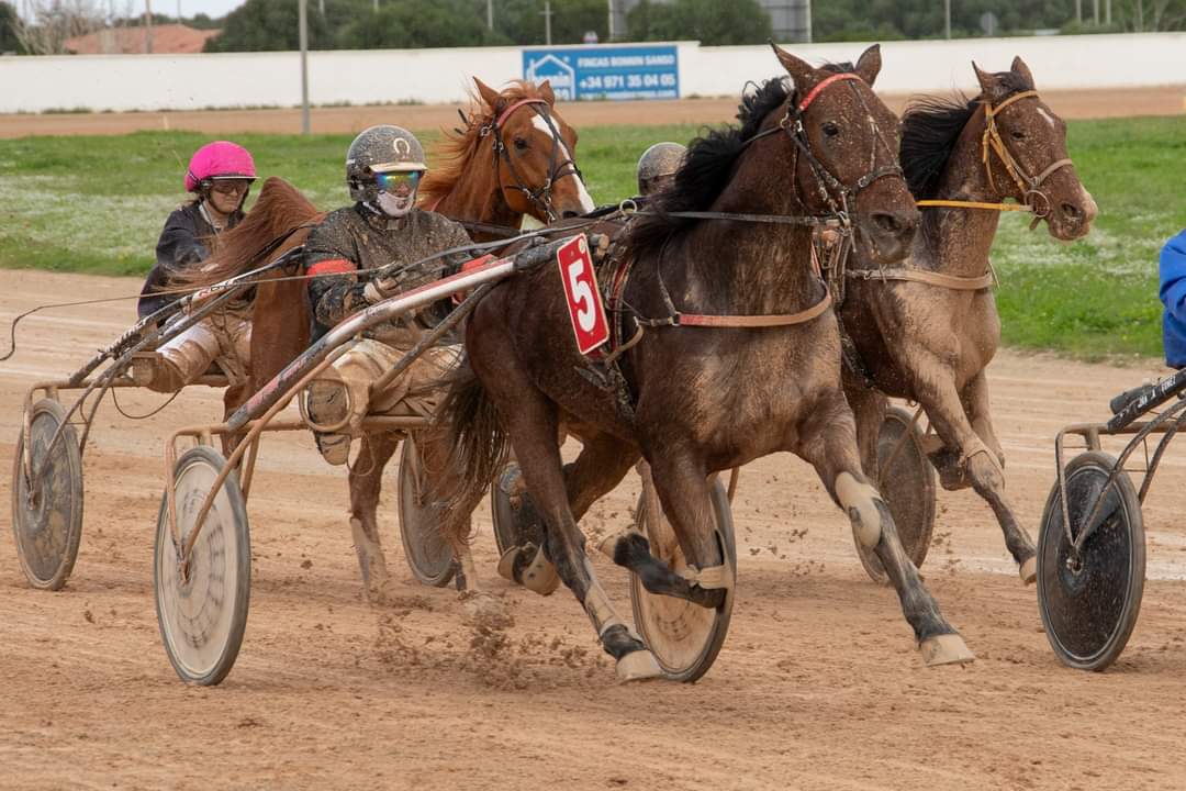 Carreres Trot-hipódromo municipal de Maó