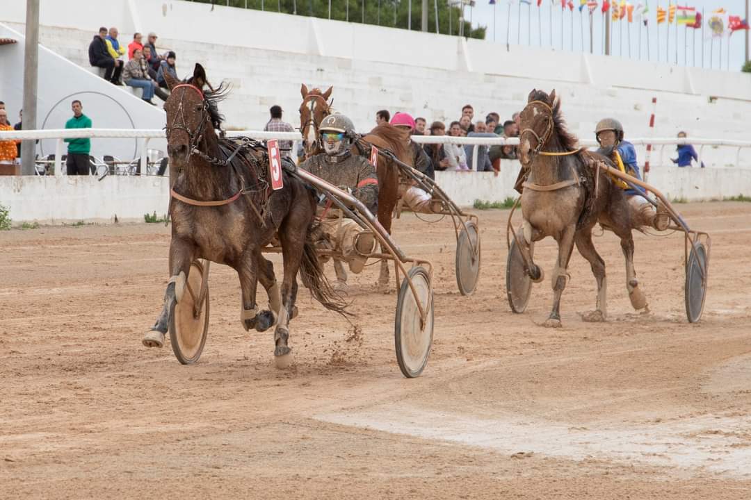 Carreres Trot-hipódromo municipal de Maó