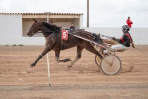 Carreres Trot-hipódromo municipal de Maó